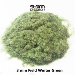 Трава (флок) 3мм - польова зимова зелена трава (Field Winter Green) Storm Creation G3007 (30г)