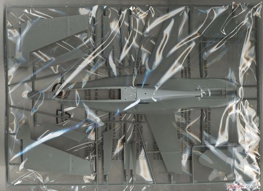 Збірна модель 1/48 F/A-18D ATARS, Kinetic K48033