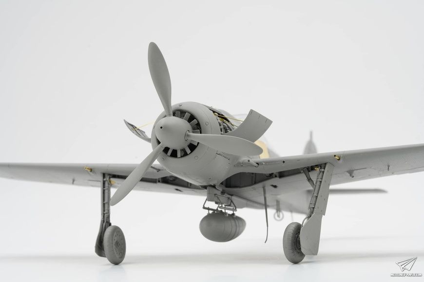 Збірна модель 1/35 Focke-Wulf Fw.190A-8 R2/R6/R7/R8 з інтер'єром, Border Model BF-009