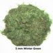 Трава (флок) 5мм - зимова зелена трава (Winter Green) Storm Creation G5005 (30г)