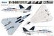 Збірна модель 1/48 F-14B Tomcat палубний винищувач ВМС США, Great Wall Hobby L4828