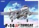 Збірна модель 1/48 F-14A Tomcat палубний винищувач ВМС США, Great Wall Hobby L4832
