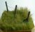 Трава для діорам (флок)
