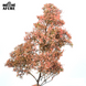 Дерево для діорами &ndash; сакура рожева (Sakura pink), MiniAfure (14 см)