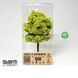 Дерево для діорами середнього розміру, весняно-зелений колір (Spring Green), Storm Creation MT1