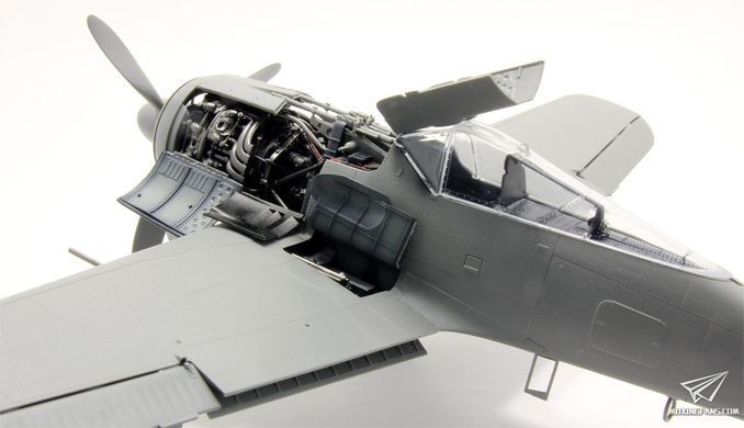 Збірна модель 1/35 Focke-Wulf Fw.190A-6 w/WGr.21 з інтер'єром, Border Model BF-003