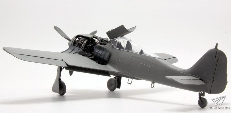 Збірна модель 1/35 Focke-Wulf Fw.190A-6 w/WGr.21 з інтер'єром, Border Model BF-003