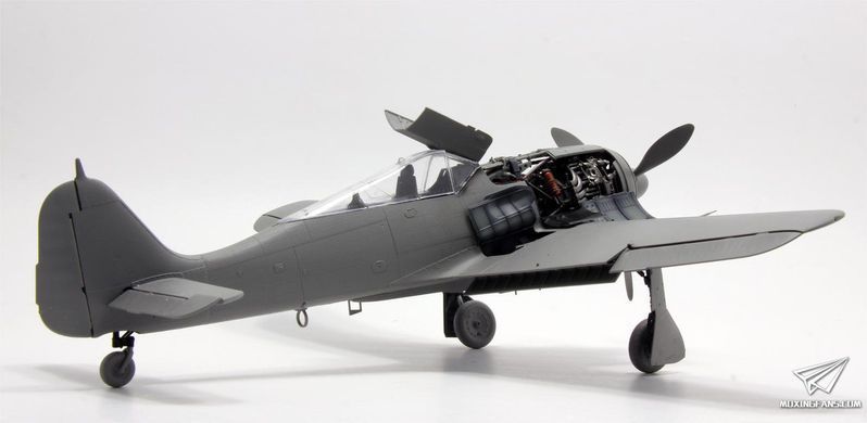 Збірна модель 1/35 Focke-Wulf Fw.190A-6 w/WGr.21 з інтер'єром, Border Model BF-003
