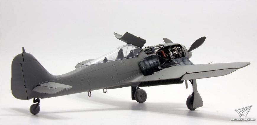 Збірна модель 1/35 Focke-Wulf Fw.190A-6 w/WGr.21 з інтер'єром, Border Model BF-003