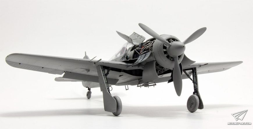 Збірна модель 1/35 Focke-Wulf Fw.190A-6 w/WGr.21 з інтер'єром, Border Model BF-003