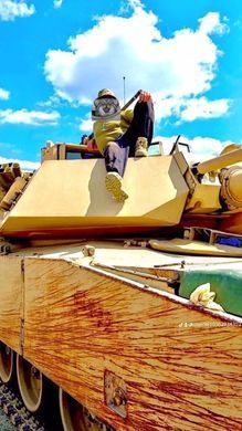 Нітро фарба Пустельний тан (FS33446 Desert Tan), Sunin7 T007 (15 мл)