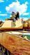 Нітро фарба Пустельний тан (FS33446 Desert Tan), Sunin7 T007 (15 мл)