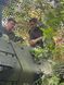 Нітро фарба Зелений НАТО (NATO Green), Sunin7 JXF-69 (30 мл)